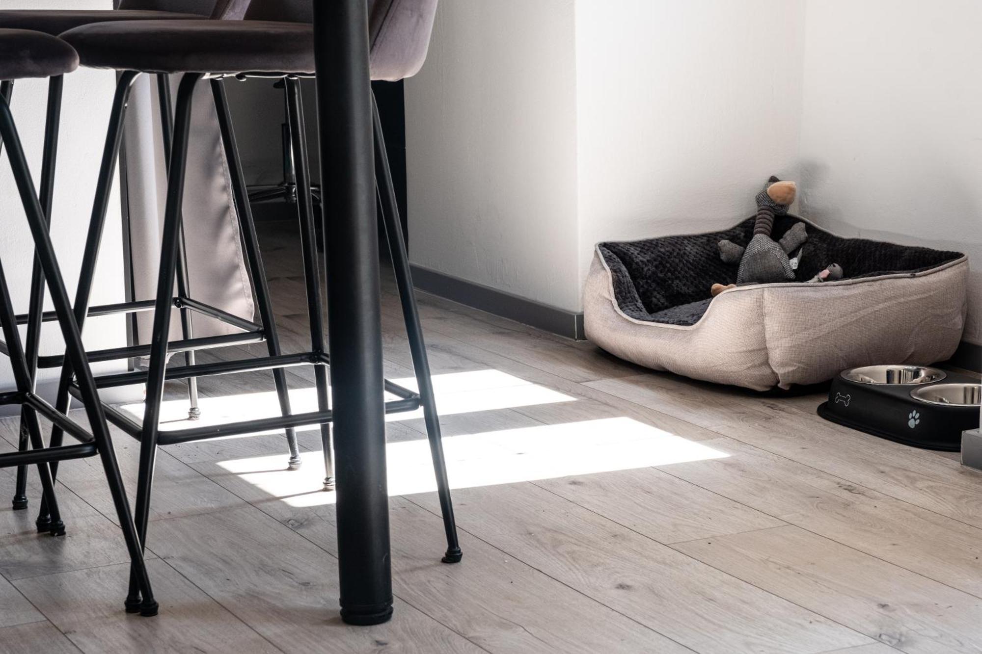 Il Camino Apartment โอปาติยา ภายนอก รูปภาพ